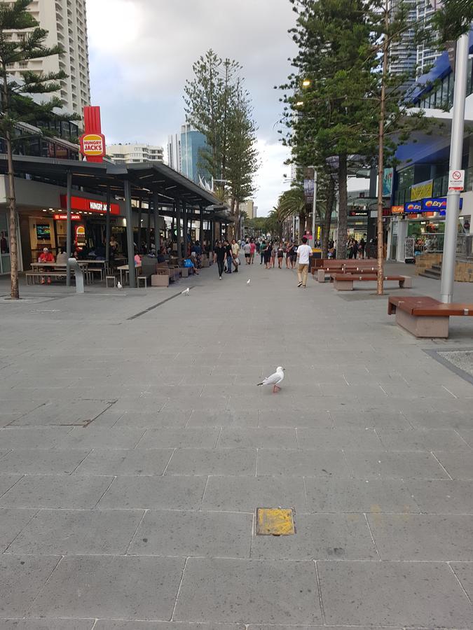 The Sands Surfers Paradise Zewnętrze zdjęcie